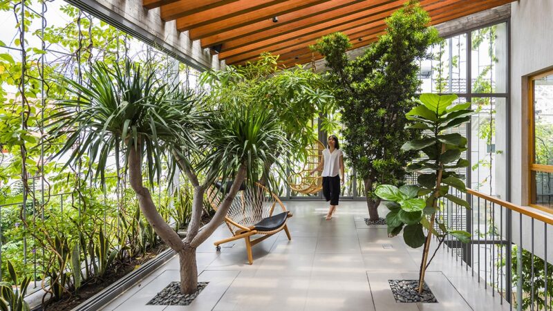 Greenery That Breathes Life Into Spaces