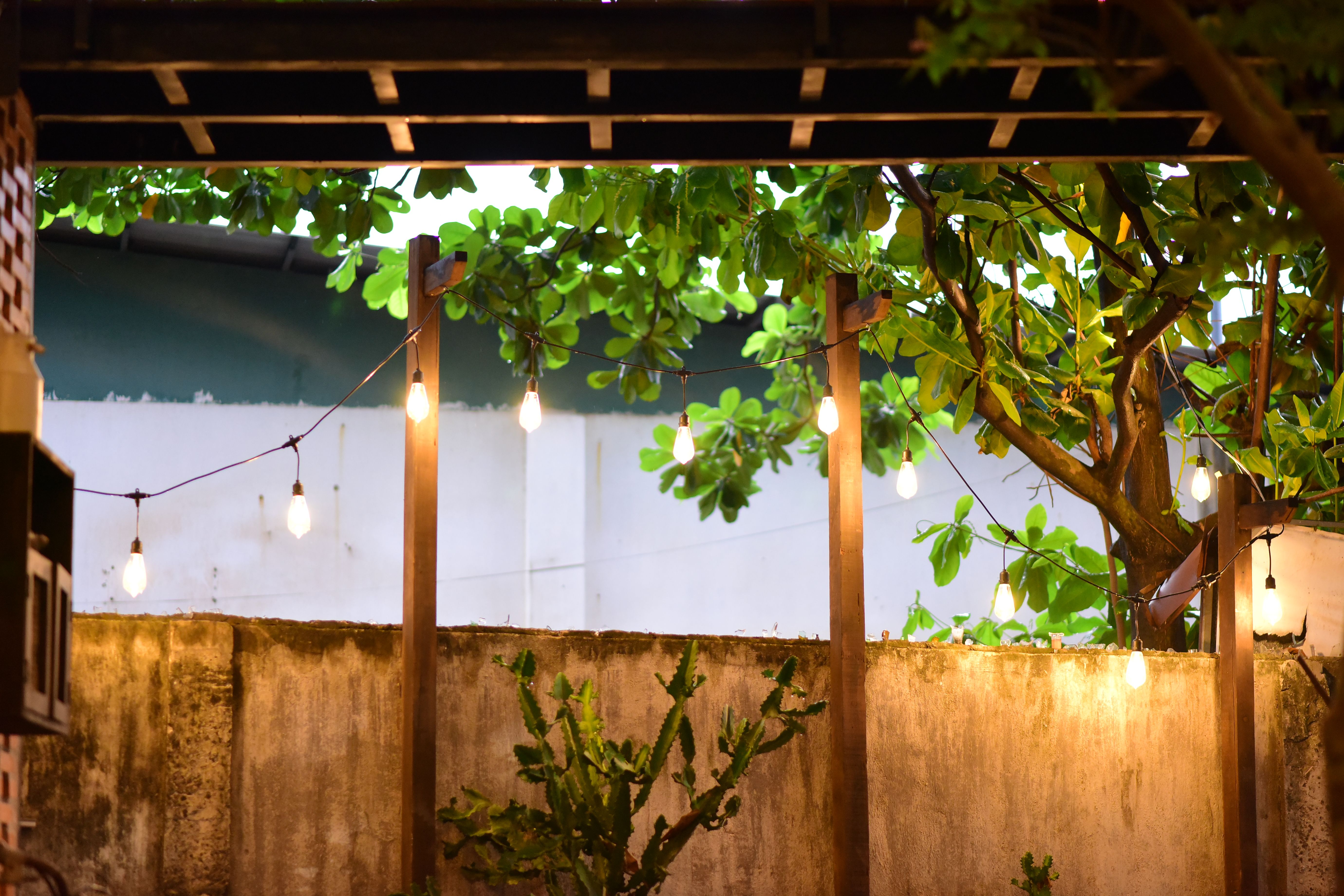Warm string lights glowing among backyard foliage, showing how lighting can transform a small garden at night.
